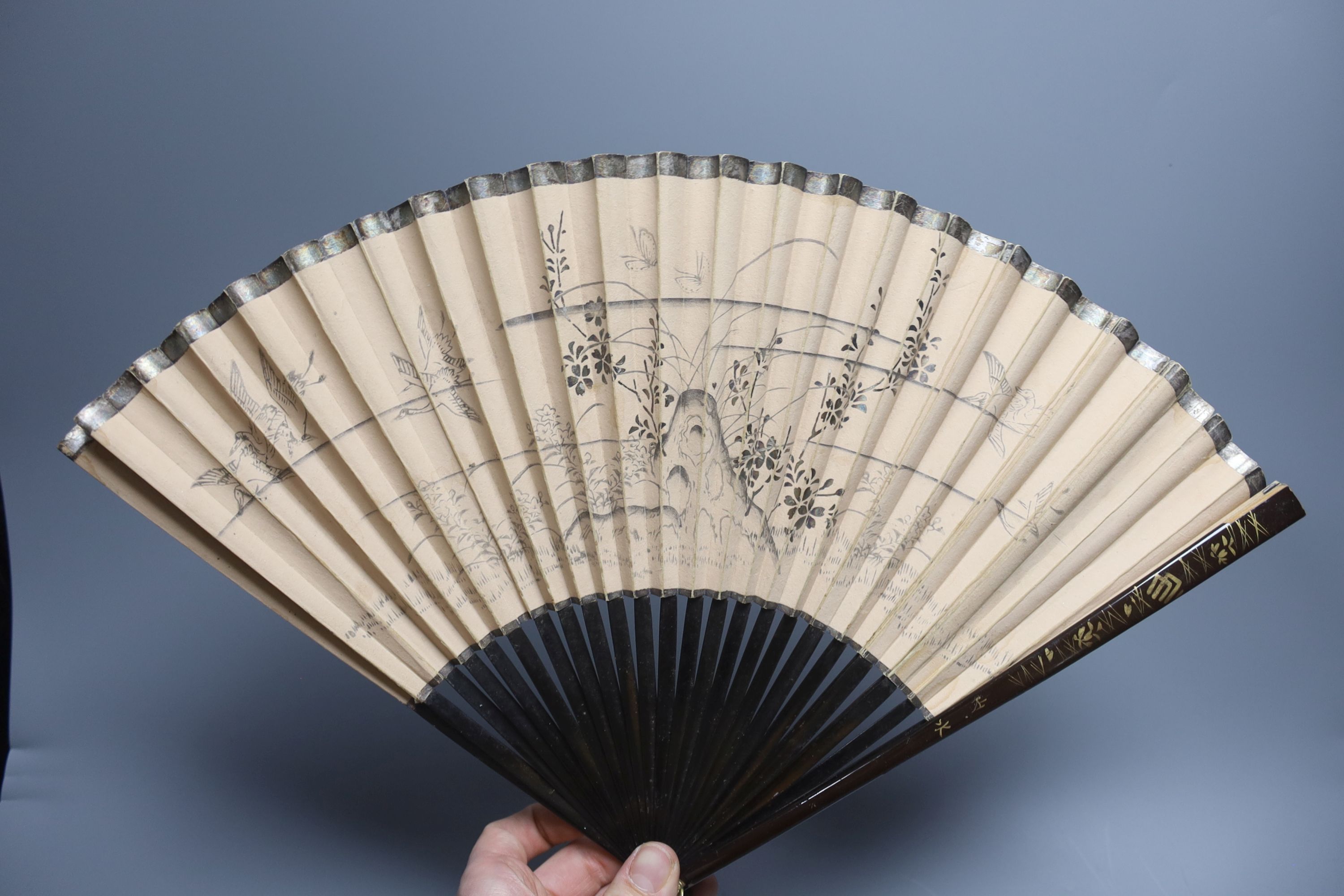 A collection of fans, 19th/20th century